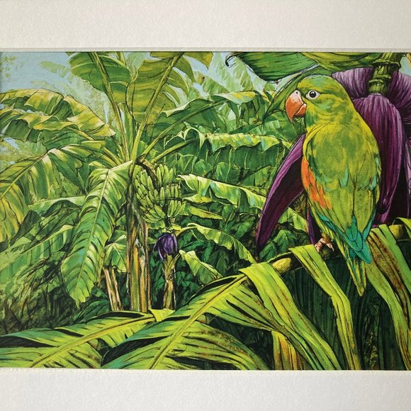 8x10" Colombia Cafe Quindio Art Print (w/mat): Orange-Chinned Parakeet - HOME - Picture 3 of 6